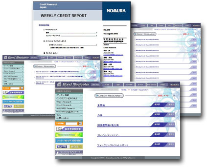 Acxiom Credit Report